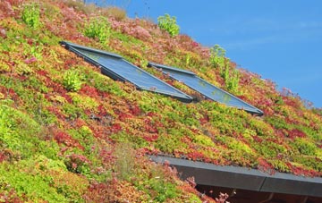 Sheepy Magna living roof systems