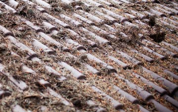 Sheepy Magna roof cleaning companies